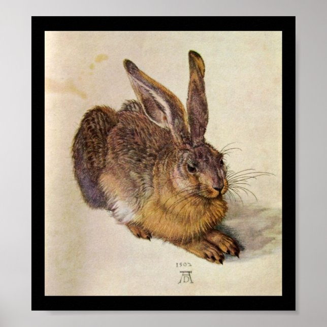 KANINEN ( Ung hare ) Poster (Framsidan)