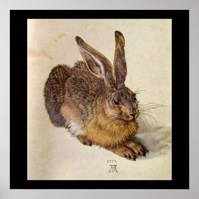 KANINEN ( Ung hare ) Poster (Framsidan)