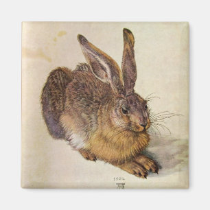 KANINEN (unga Hare) Magnet