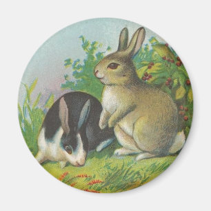 Kaniner av de gröna ängarna magnet