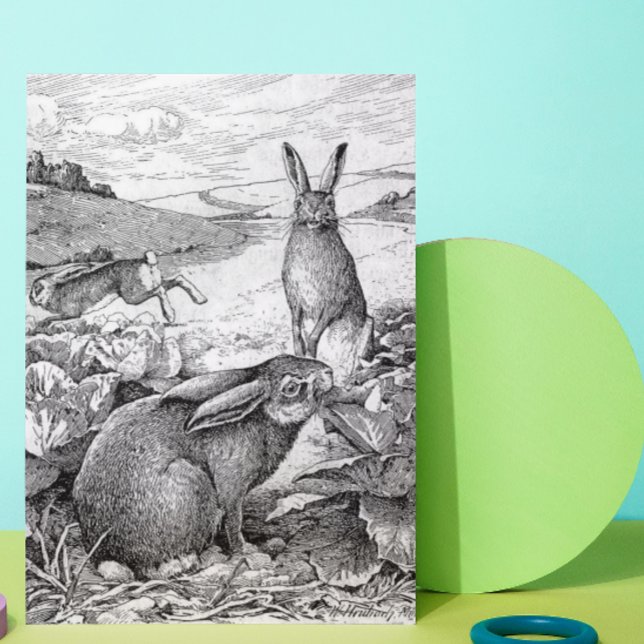 Kaniner Helgkort (Skapare uppladdad)