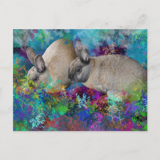 Kaniner i Fantasivärlden: En Harhistoria Vykort (Framsida)