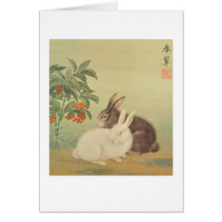 Kaniner och bär OBS kort