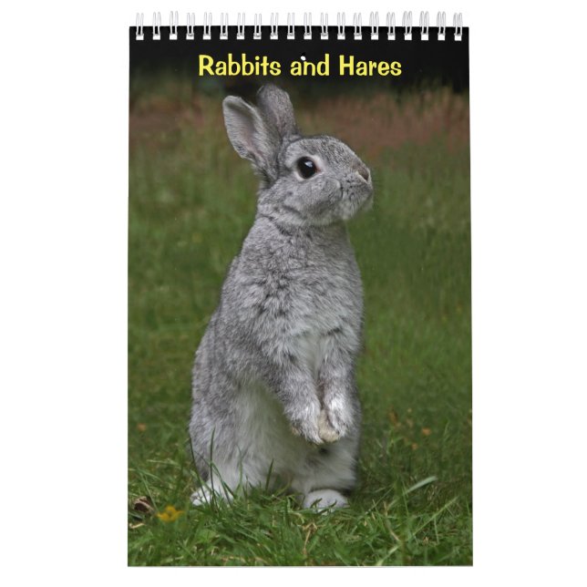 Kaniner och Harar Kalender (Omslag)