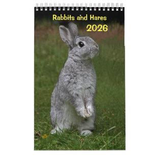 Kaniner och Hares Calendar Kalender