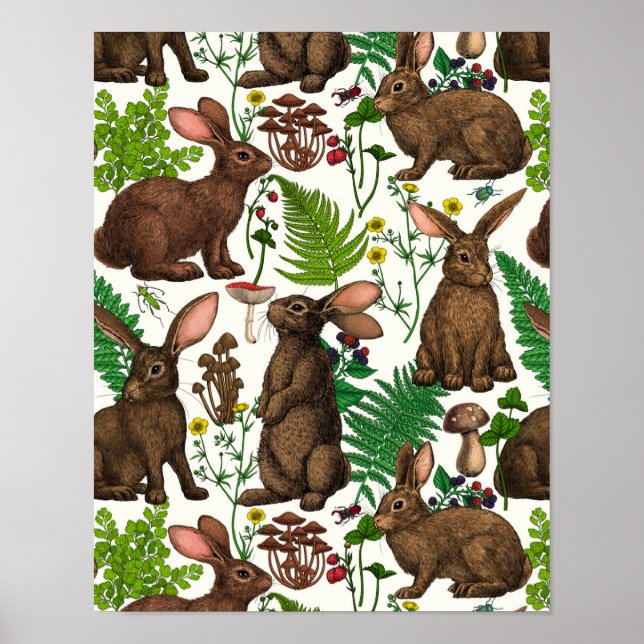Kaniner och skogsområden flora 4 poster (Framsidan)