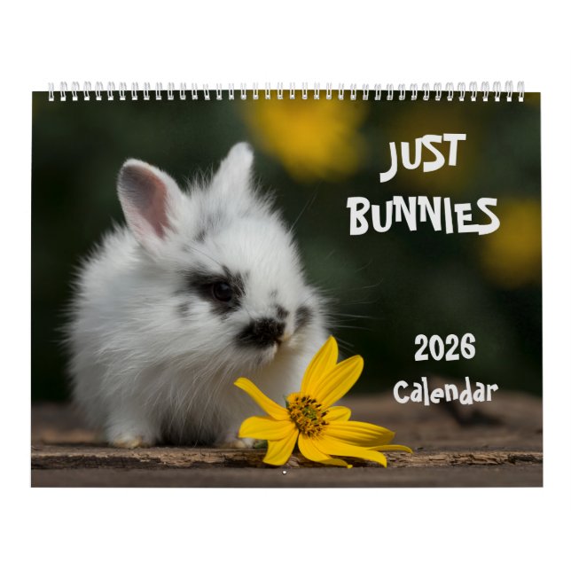 Kaniner Stor Väggkalender Kalender (Omslag)