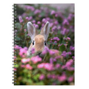 Kaninfarm Anteckningsbok