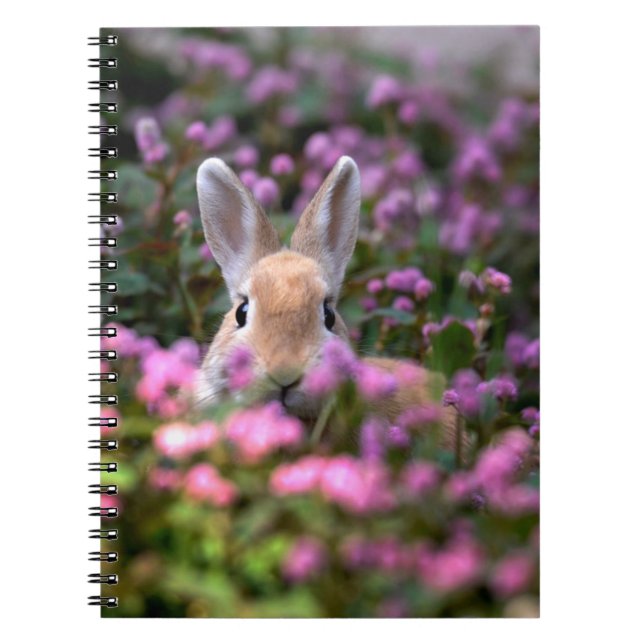 Kaninfarm Anteckningsbok (Framsidan)