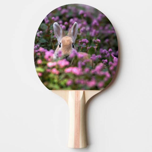 Kaninfarm Pingisracket (Framsidan)