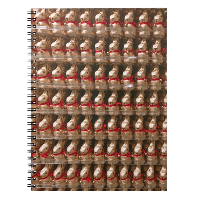 Kaninfigurparti Anteckningsbok (Framsidan)