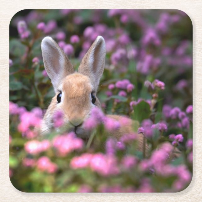 Kaningård Underlägg Papper Kvadrat (Framsidan)