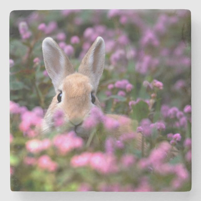 Kaningård Underlägg Sten (Framsidan)