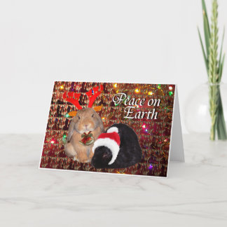 Kaninjulkort 8 helgkort