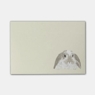 Kaninkanin Post-it Block