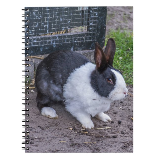 Kaninkaninanteckningsbok Anteckningsbok (Framsidan)
