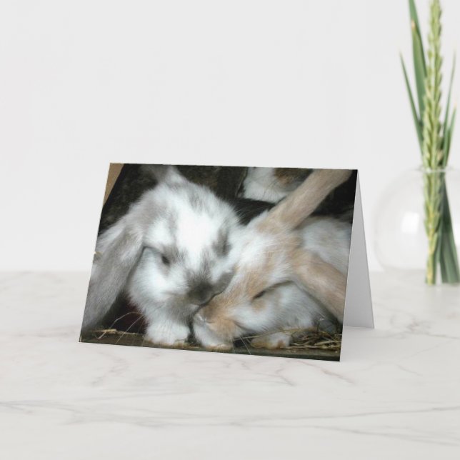 Kaninkärlekårsdag Kort (Framsida)