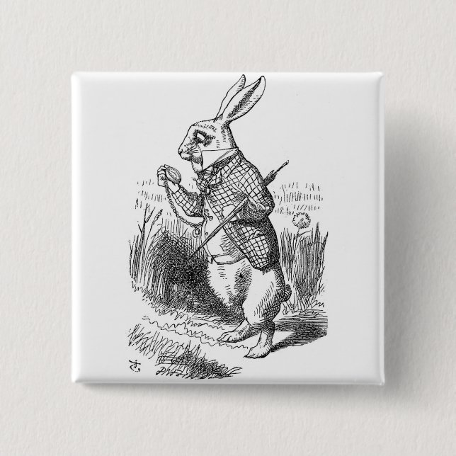 Kaninknapp Knapp (Framsida)