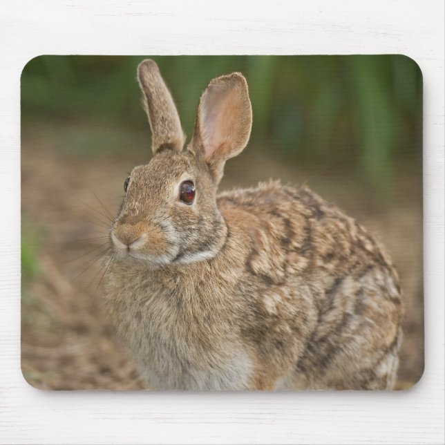 Kaninmousepad Musmatta (Framsidan)
