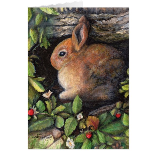 Kanin'n-bär OBS Kort (Framsidan)