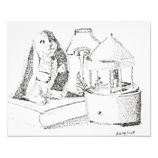 Kaninögonblick Fototryck (Framsidan)