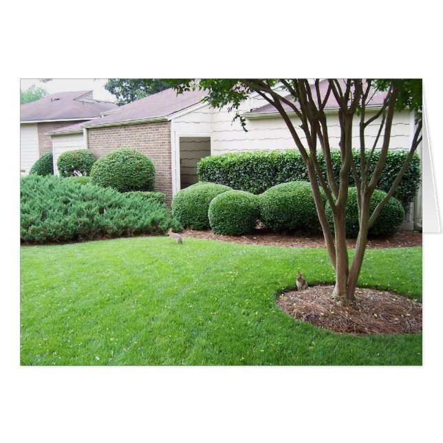 Kaninspel på gräsmatta hälsningskort (Framsidan Horizontal)