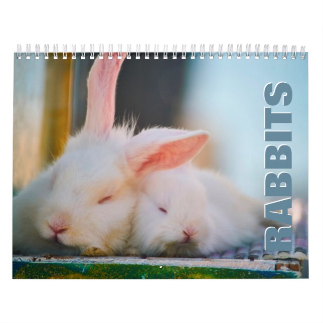 Kaninväggskalender Kalender (Omslag)
