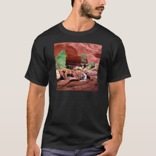 Kanjonprärievargbergsklyfta Escalante Riverutah T-shirt