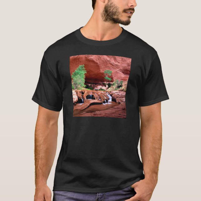 Kanjonprärievargbergsklyfta Escalante Riverutah T-shirt (Framsida)