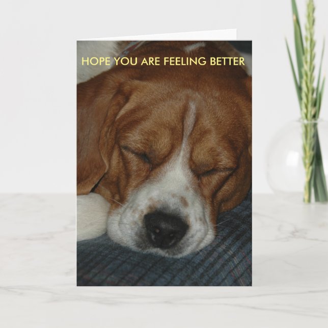 Känn bättre kort med beagle (Framsida)