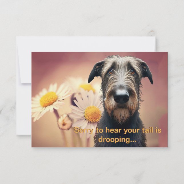 Känn bättre snart Irish Wolfhound (Framsida)