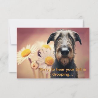 Känn bättre snart Irish Wolfhound