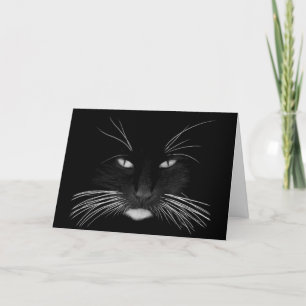 Känn bättre svart katt snart kort