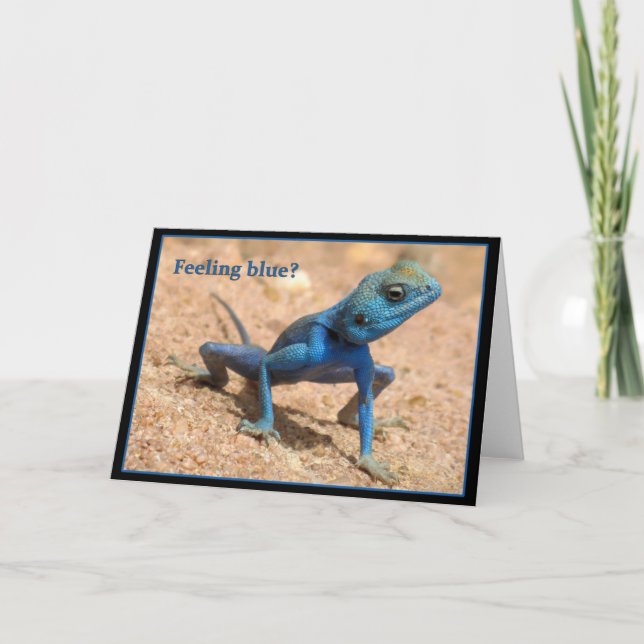 Känn blått kort (Framsida)