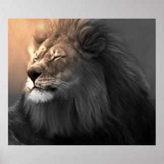 Känn det vita ljuset poster