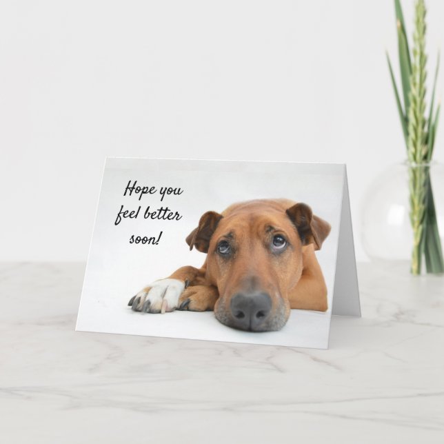 Känn dig bättre snart med Ledsen Hund Skaffa ett b Kort (Framsida)