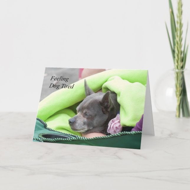 Känn Hund trött (Chihuahua) - bildkonst kort (Framsida)