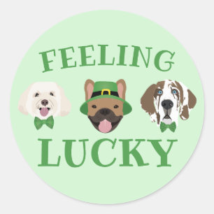 Känn Lucky St patricks day Hund Ansikte Runt Klistermärke
