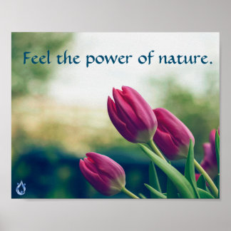 Känn naturens Poster kraft