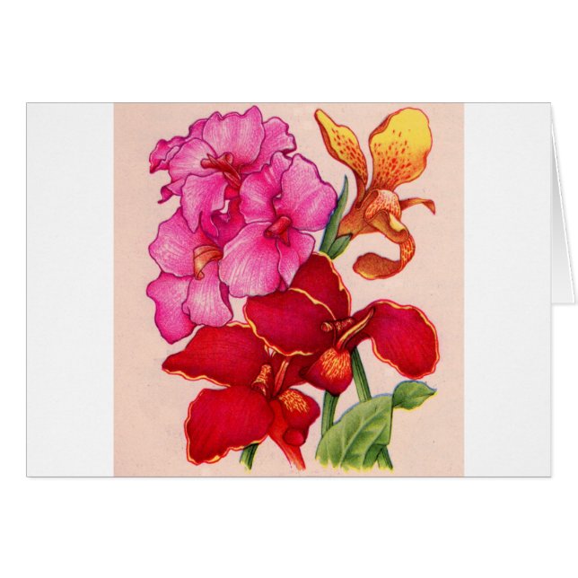 kanna hälsningskort (Framsidan Horizontal)