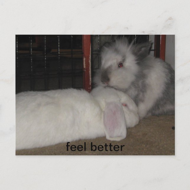 känna sig bättre vykort (Framsida)