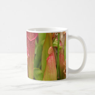 Kannaväxter Kaffemugg