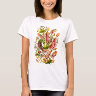 Kannaväxter Tee