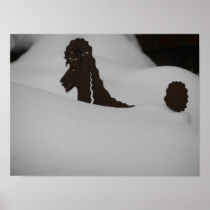 Känner du dig begravd? Pudel i snö Poster