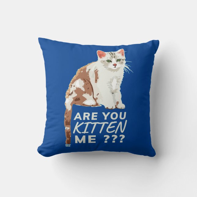 "KÄNNER DU MIG?" Lustigt söt katt Kudde (Framsida)