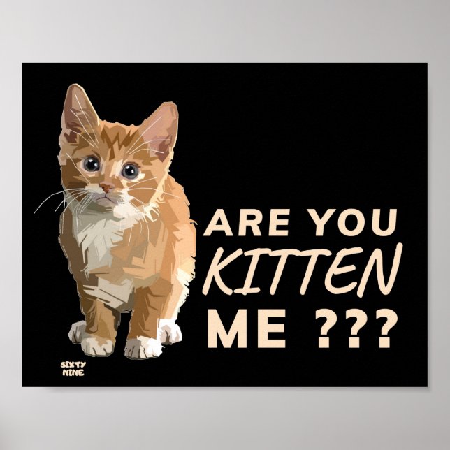 "KÄNNER DU MIG?" Lustigt söt katt Poster (Framsidan)