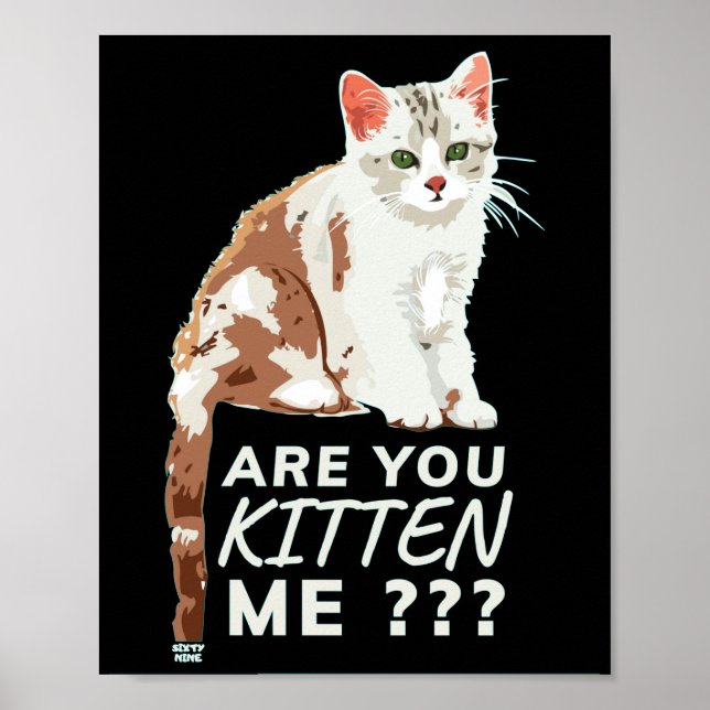 "KÄNNER DU MIG?" Lustigt söt katt Poster (Framsidan)