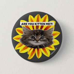 KÄNNER DU MIG? Solros Kitten Ansikte Humous Knapp