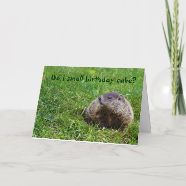 Känner jag lukten av födelsedagskalas? kort (Framsida)