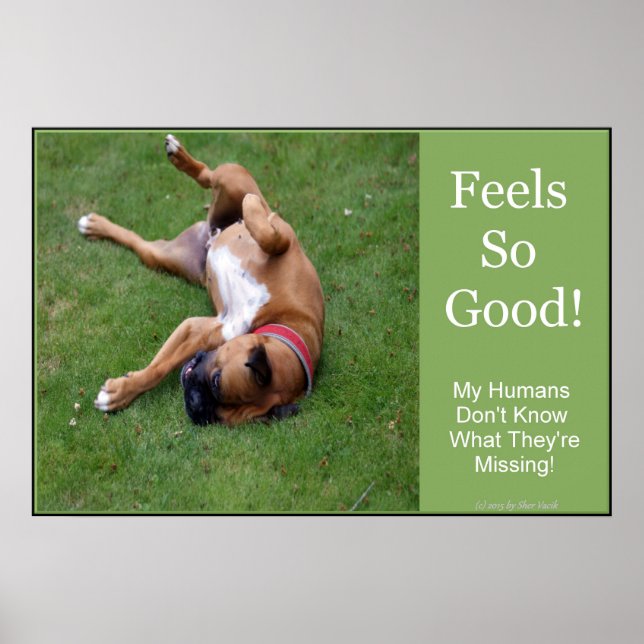 Känner sig så bra affisch (Framsidan)